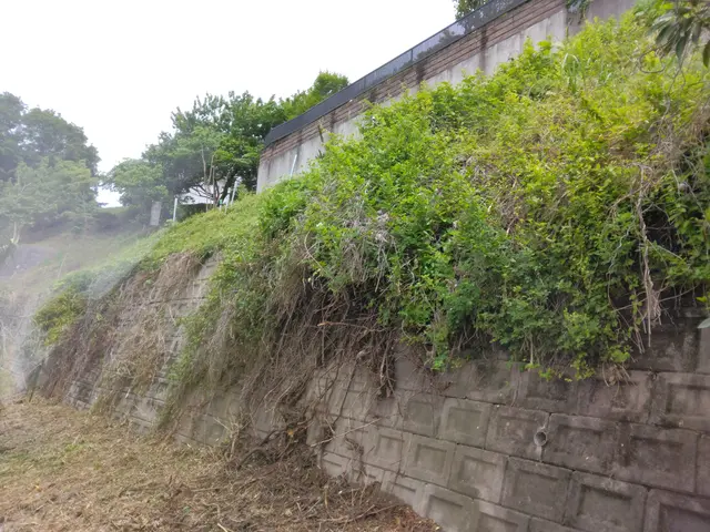 国土交通省等の公共施設の草刈り実績多数！草刈りのプロが施工致します！サービスの画像