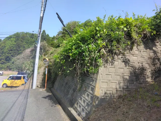 国土交通省等の公共施設の草刈り実績多数！草刈りのプロが施工致します！サービスの画像