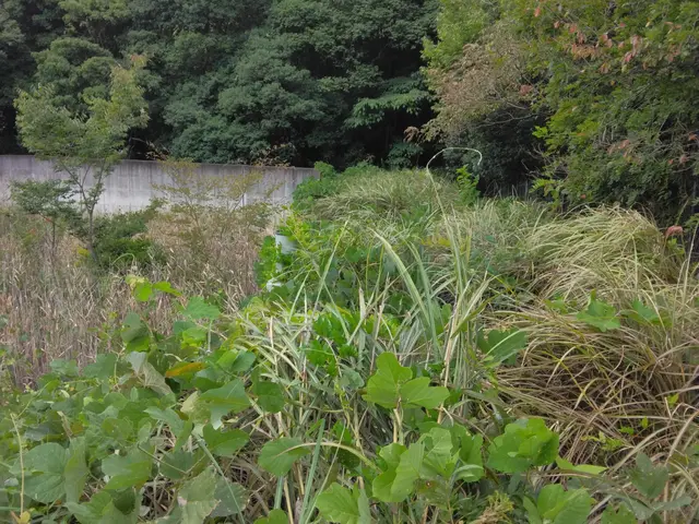 国土交通省等の公共施設の草刈り実績多数！草刈りのプロが施工致します！サービスの画像