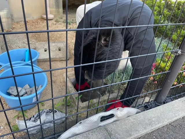 【１月６日～OK！】◇仕上がり保証あり◇オンラインカード可◎サービスの画像