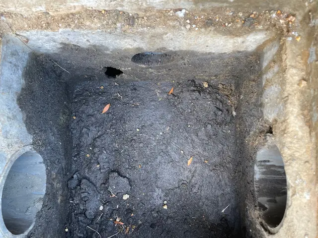 【１月６日～OK！】◇仕上がり保証あり◇オンラインカード可◎サービスの画像