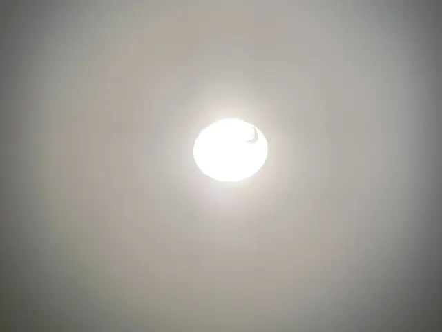 【業界歴40年以上】照明・シーリングライトの取り付け　女性スタッフの同行OK◎サービスの画像