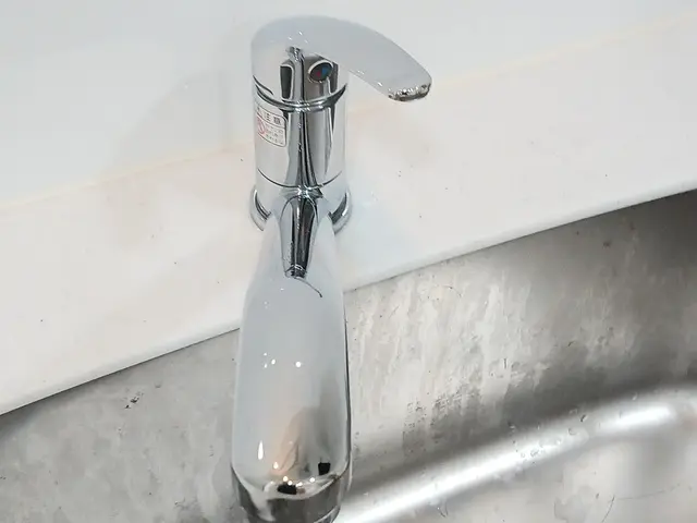 ハウスクリーニング在室サービスの画像