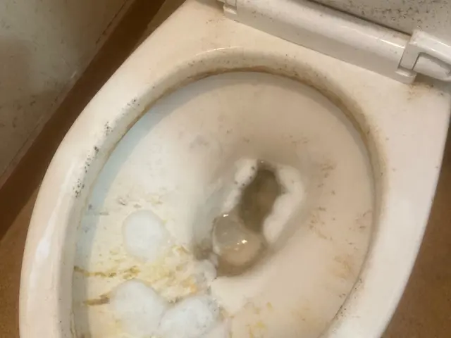 【安心の損害保険加入済み！】女性スタッフ同行！安心！丁寧な作業に心がけています。サービスの画像