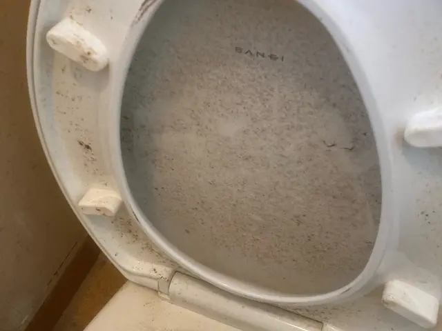 【安心の損害保険加入済み！】女性スタッフ同行！安心！丁寧な作業に心がけています。サービスの画像