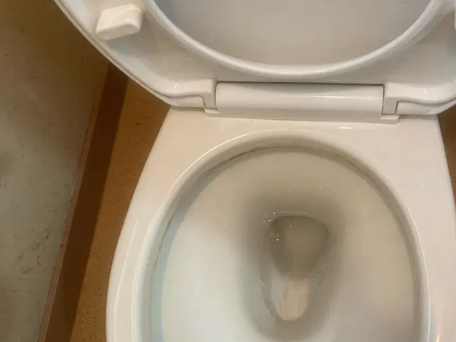 【安心の損害保険加入済み！】女性スタッフ同行！安心！丁寧な作業に心がけています。サービスの画像