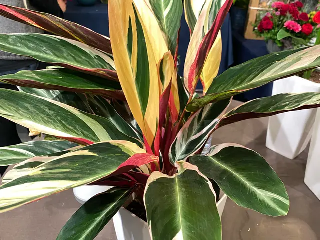 プロの技術でご満足いただけるように心を込めて作業いたしますサービスの画像