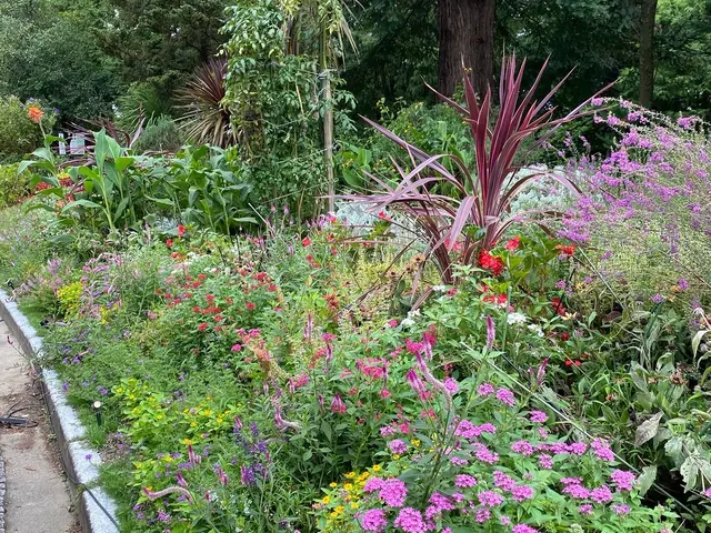 プロの技術でご満足いただけるように心を込めて作業いたしますサービスの画像