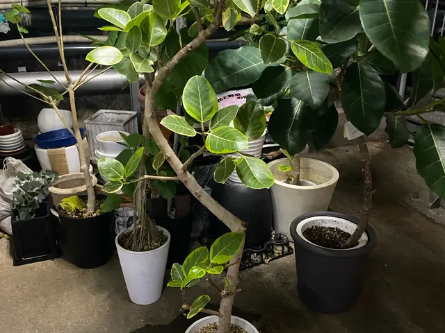 プロの技術でご満足いただけるように心を込めて作業いたしますサービスの画像