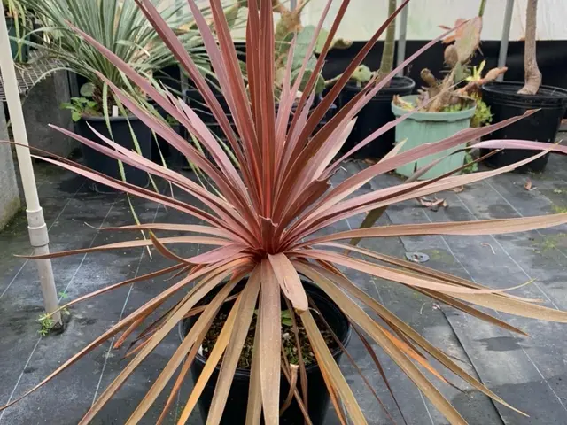 プロの技術でご満足いただけるように心を込めて作業いたしますサービスの画像