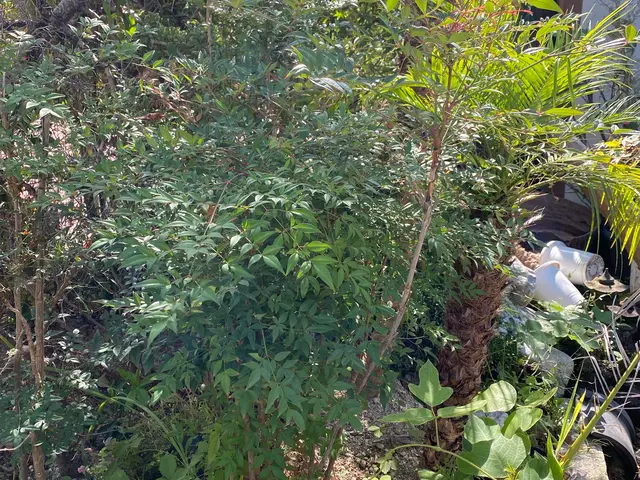 プロの技術でご満足いただけるように心を込めて作業いたしますサービスの画像