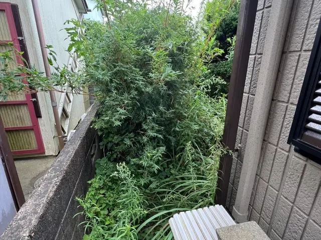 漁師歴18年の地域密着サービス！銚子愛溢れるプロが自社スタッフのみでお安く対応サービスの画像