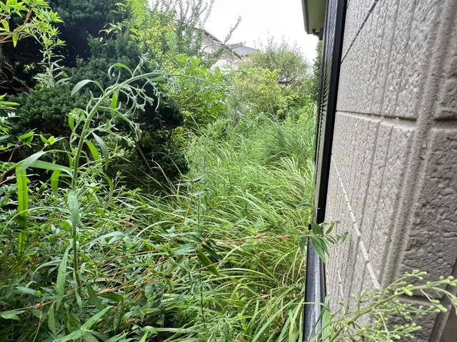 漁師歴18年の地域密着サービス！銚子愛溢れるプロが自社スタッフのみでお安く対応サービスの画像