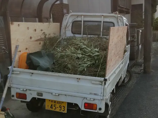 漁師歴18年の地域密着サービス！銚子愛溢れるプロが自社スタッフのみでお安く対応サービスの画像