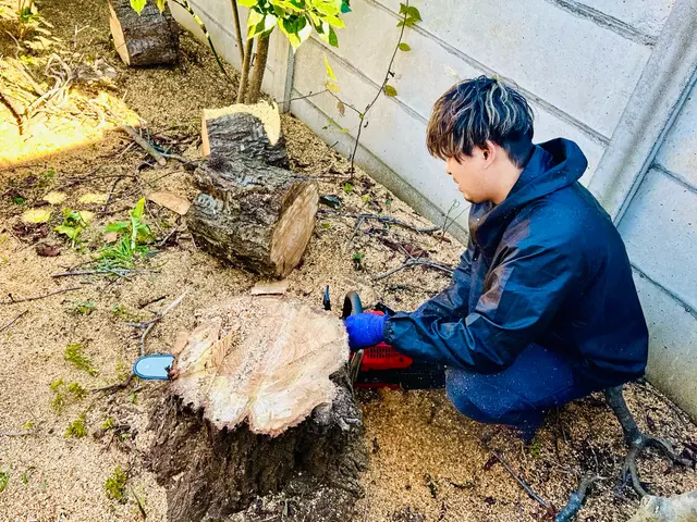 【越谷発】植木屋が丁寧に素早く伐採します！高木はツリークライミングいたします！サービスの画像