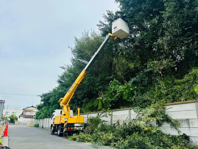 【越谷発】植木屋が丁寧に素早く伐採します！高木はツリークライミングいたします！サービスの画像