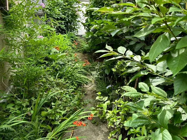 足立区内では実績多数!  草むしり(手作業）サービスの画像