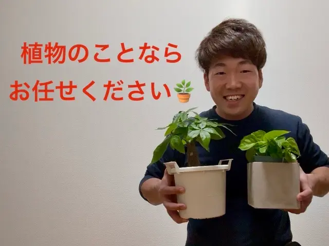 【作業実績100件以上】◆3/13から対応可能◆お庭のことお任せください！サービスの画像