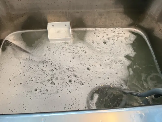 【経験24年の実績】ペット赤ちゃん◎マスク着用　次亜塩素酸水消毒実施中♫クレカ◎サービスの画像