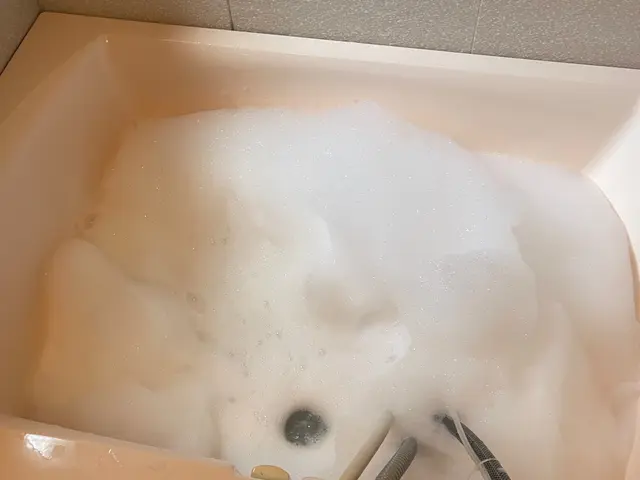 【経験24年の実績】ペット赤ちゃん◎マスク着用　次亜塩素酸水消毒実施中♫クレカ◎サービスの画像