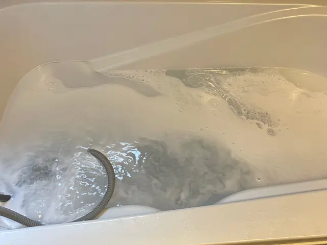 【経験24年の実績】ペット赤ちゃん◎マスク着用　次亜塩素酸水消毒実施中♫クレカ◎サービスの画像