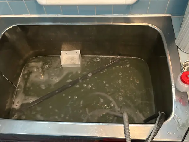 【経験24年の実績】ペット赤ちゃん◎マスク着用　次亜塩素酸水消毒実施中♫クレカ◎サービスの画像