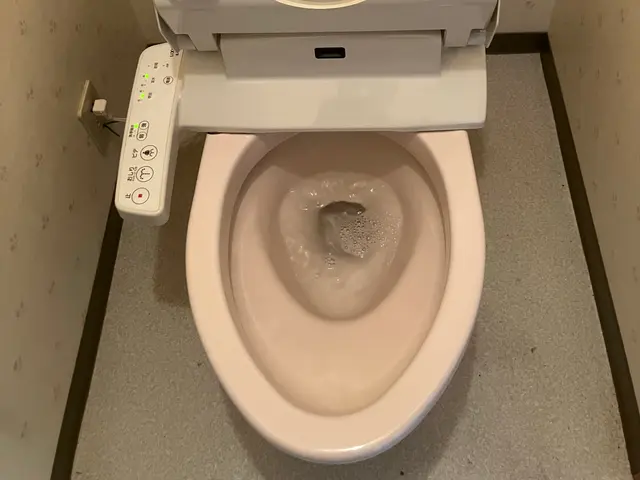 不快な汚れ、さようなら。大掃除前にどうですか？サービスの画像