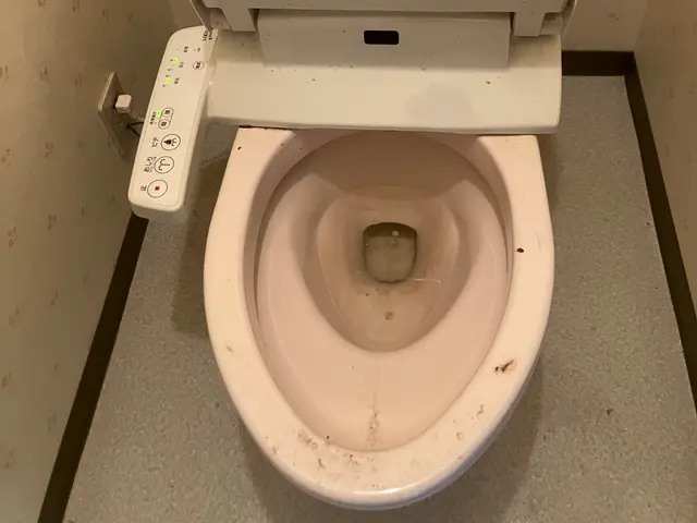 不快な汚れ、さようなら。大掃除前にどうですか？サービスの画像