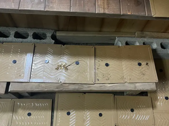 小さなお子様、ペットにも安心安全薬剤。お見積もりは無料です。無料見積可能。サービスの画像