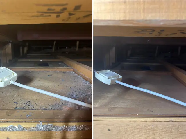 小さなお子様、ペットにも安心安全薬剤。お見積もりは無料です。無料見積可能。サービスの画像