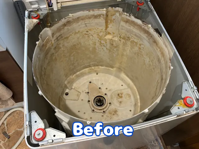 ★洗濯機のカビは服が臭う原因★綺麗な洗濯槽は肌への影響も◎高圧洗浄でクリーンに★サービスの画像