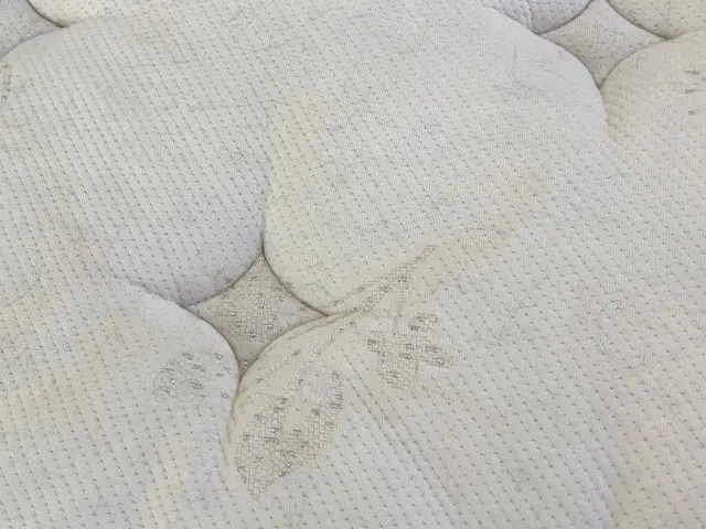 業界歴15年 損害保険加入済 作業に満足いただけない場合、全額返金致します！サービスの画像