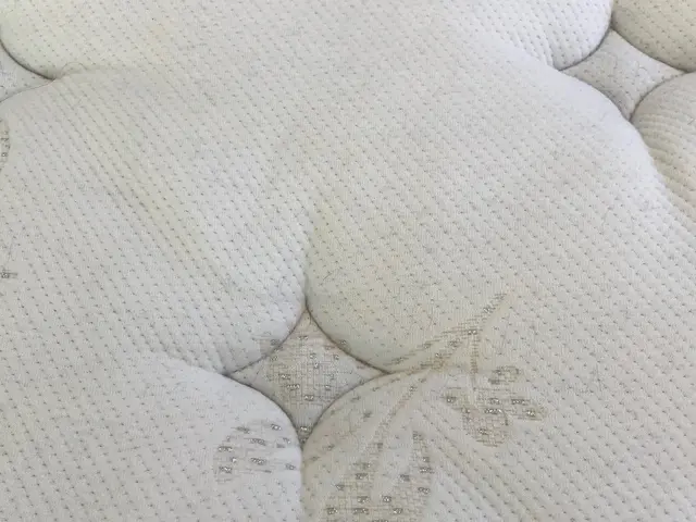 業界歴15年 損害保険加入済 作業に満足いただけない場合、全額返金致します！サービスの画像