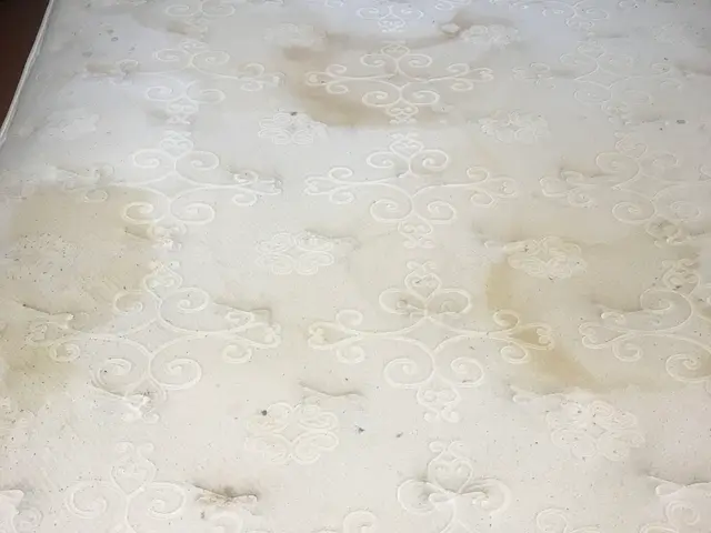 業界歴15年 損害保険加入済 作業に満足いただけない場合、全額返金致します！サービスの画像