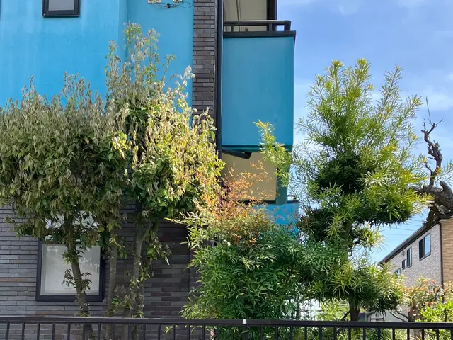 伸びすぎた木や枝、スッキリと。サービスの画像