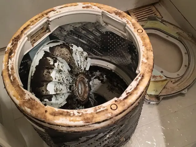 洗濯槽のカビは、槽洗浄コースだけでは落とせません。分解洗浄でお悩みスッキリ。サービスの画像