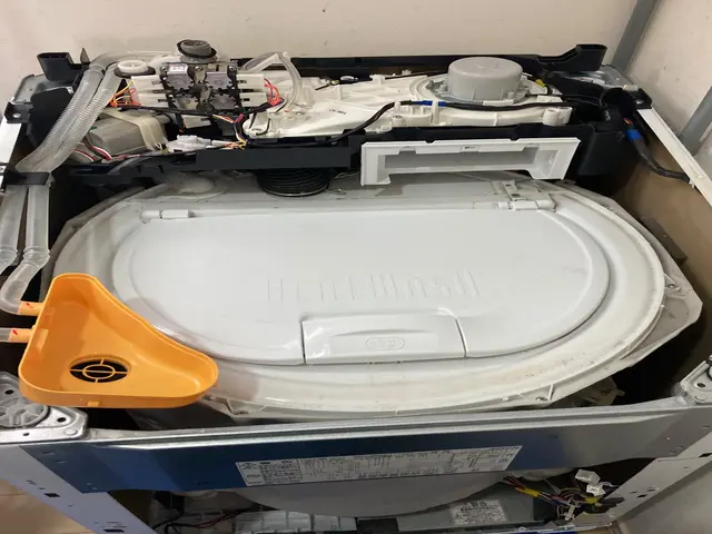 洗濯槽のカビは、槽洗浄コースだけでは落とせません。分解洗浄でお悩みスッキリ。サービスの画像