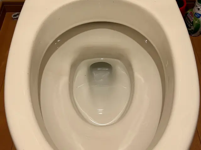 ウォシュレット取付、取外しお任せ下さい！お写真から安価でお見積り！サービスの画像