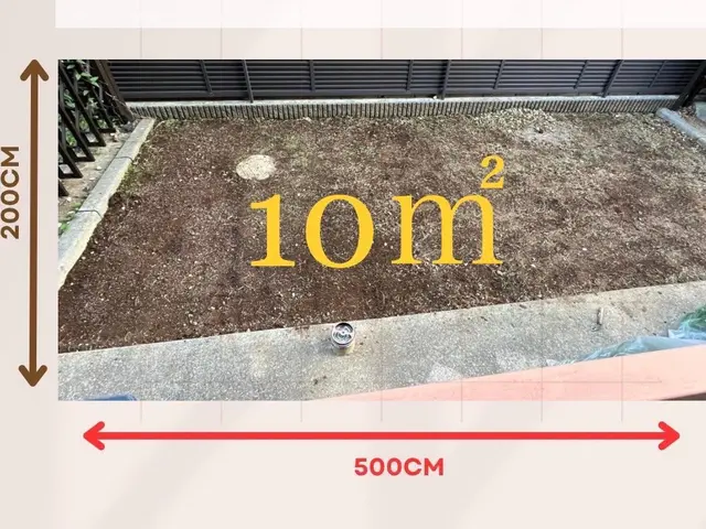 野球バカの草むしりどうでしょう？サービスの画像
