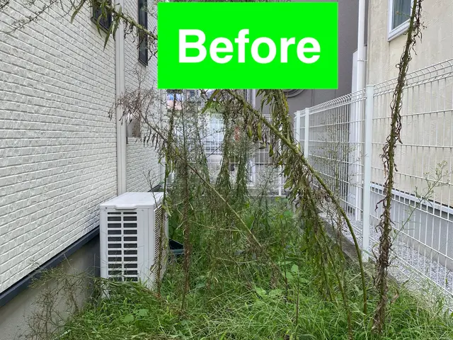 野球バカの草むしりどうでしょう？サービスの画像