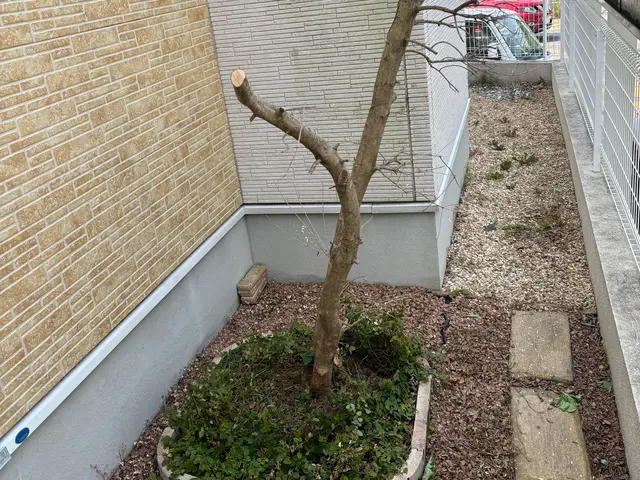 3メートル以上はお断りしています！！サービスの画像