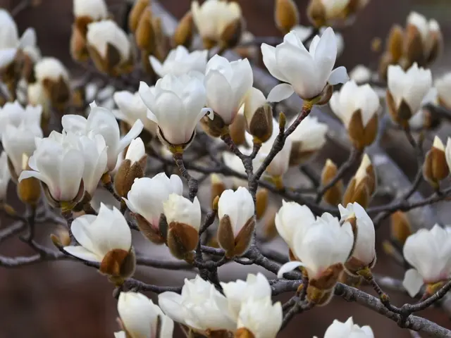 プロの撮影技術でお子様のナチュラルな写真を撮影します！