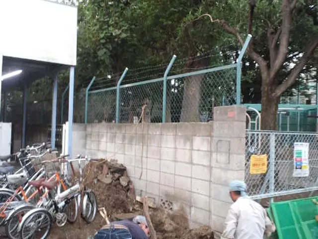 植木伐採、抜根。　きれいに仕上げます！本数に応じて値引きします。サービスの画像