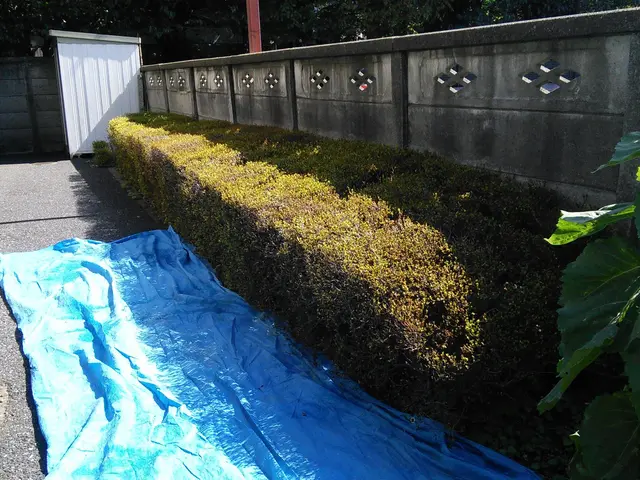 植木伐採、抜根。　きれいに仕上げます！本数に応じて値引きします。サービスの画像