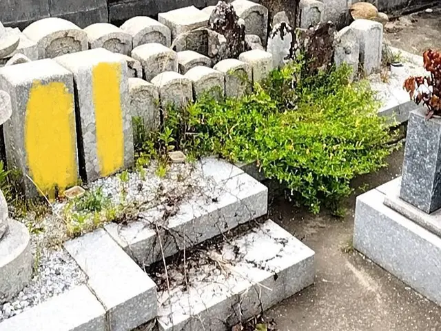 遠方の方も写真送付で安心です☆　お墓管理、草抜き・除草・清掃はお任せください。サービスの画像