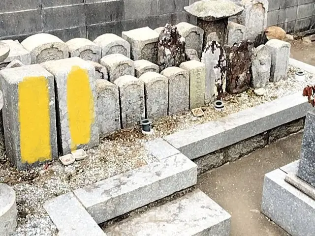 遠方の方も写真送付で安心です☆　お墓管理、草抜き・除草・清掃はお任せください。サービスの画像