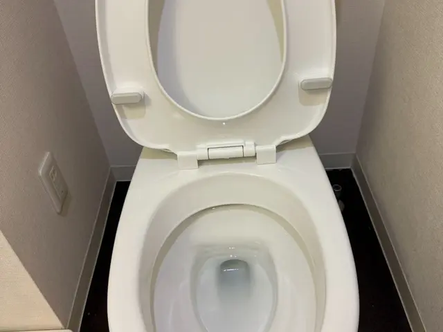 【安心価格】引越し前後クリーニングならお任せください！エアコン同時施工OK！サービスの画像