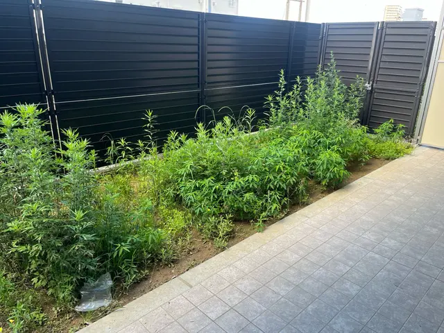雑草で荒れたお庭をサッパリ綺麗に◎迅速な対応、丁寧な作業を心がけてます！サービスの画像