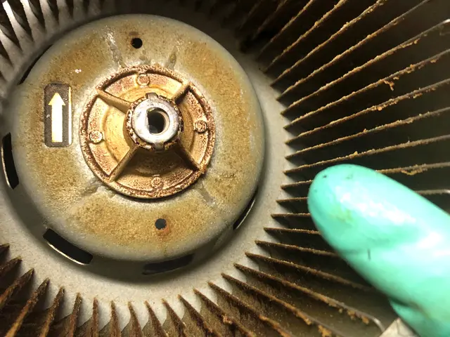 【新生活応援！】洗浄力に自信あり！追加費用一切無し！損害保険加入で安心☆サービスの画像