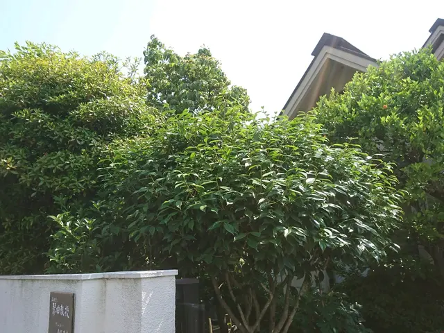 【年中無休！】土日祝もご予約大歓迎★業歴13年！実績あり★損害保険加入★サービスの画像